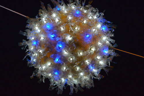 LUCI E COLORI DEL NATALE